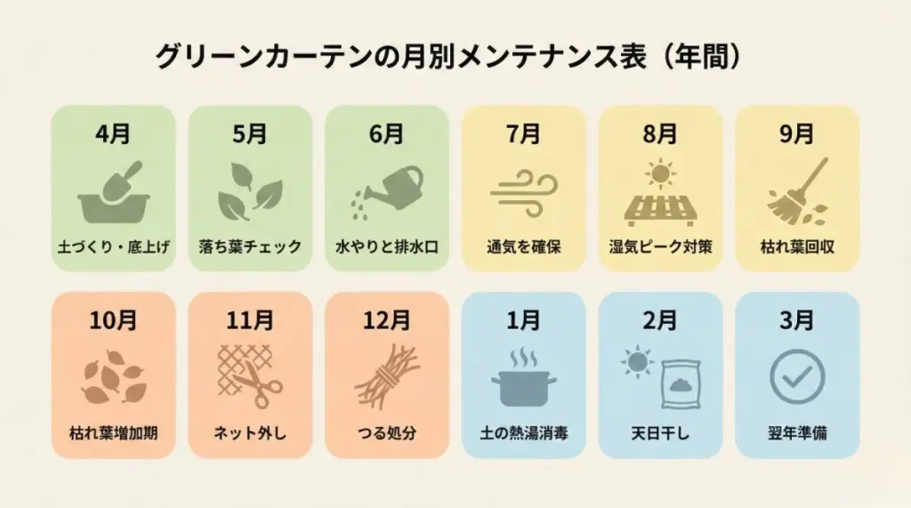 グリーンカーテンの月別メンテナンス年間カレンダーのイラスト
