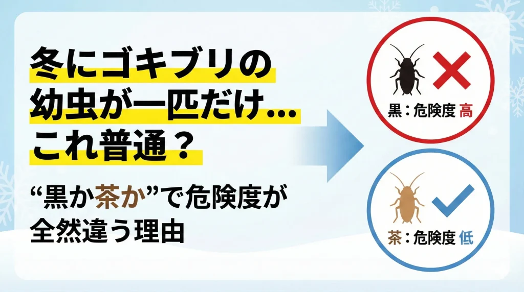 冬にゴキブリの幼虫が一匹だけ…これ普通？“黒か茶か”で危険度が全然違う理由