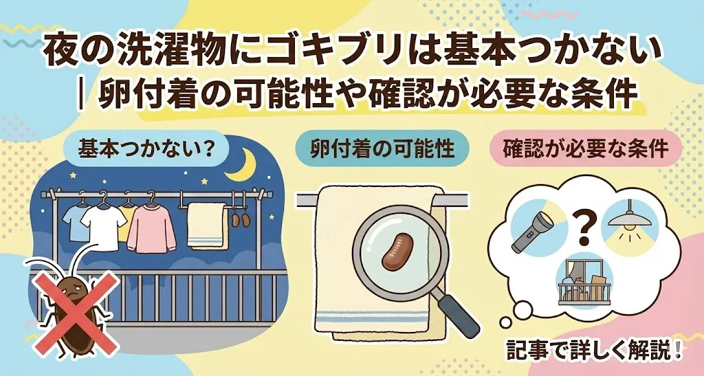 夜の洗濯物にゴキブリは基本つかない｜卵付着の可能性や確認が必要な条件