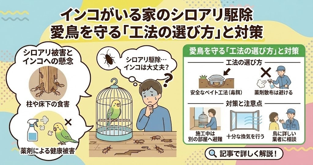 インコがいる家のシロアリ駆除｜愛鳥を守る「工法の選び方」と対策